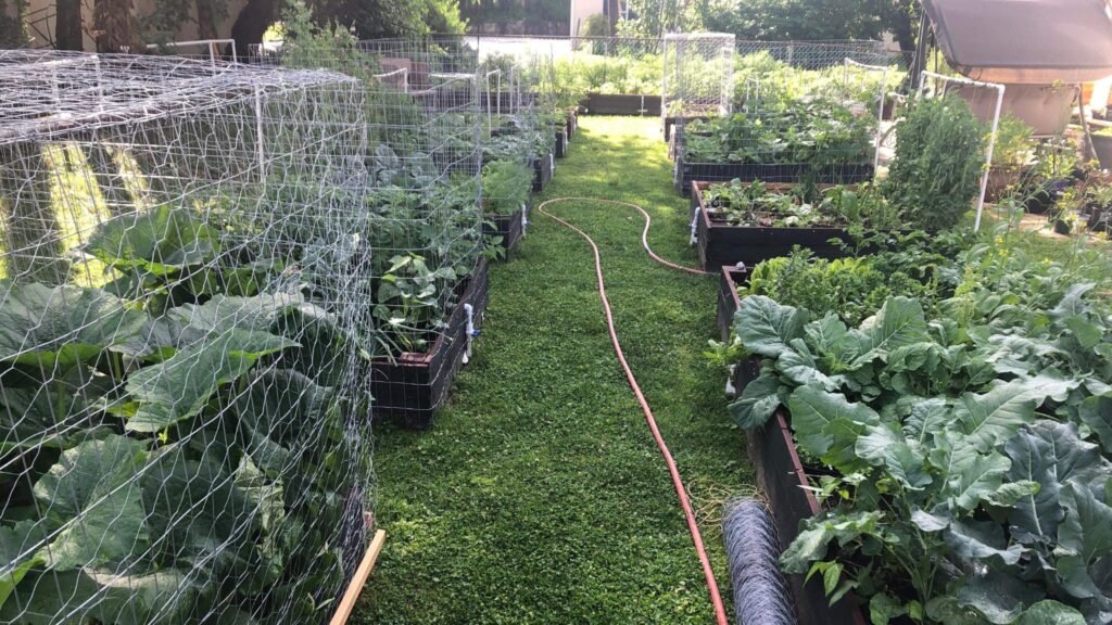 The Best Way to set up a garden