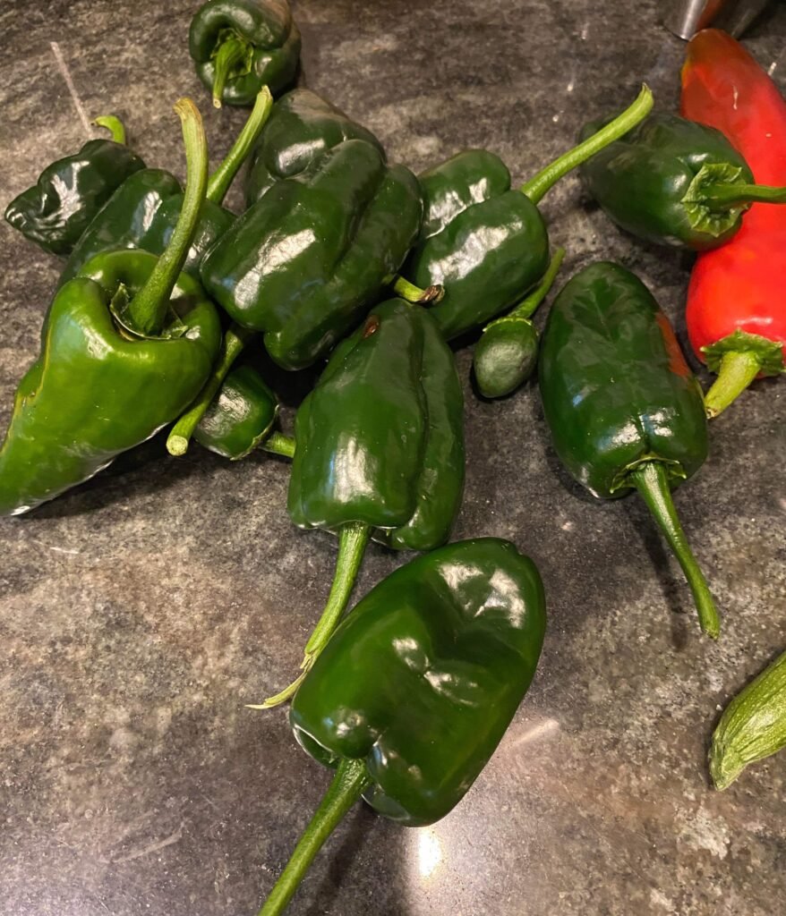 Bell Pepper From the garden