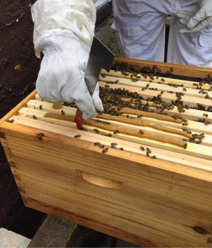 BeeKeeping