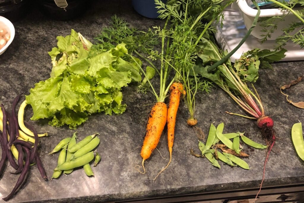 Learn how to garden