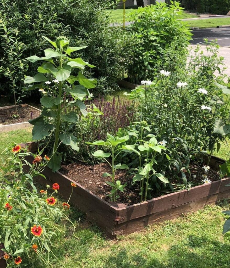 Flower beds