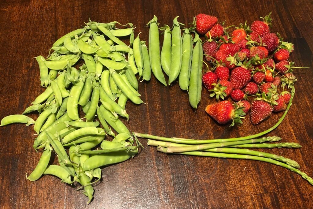 Learn how to garden
