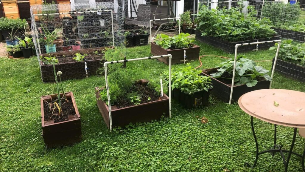 The Best Raised Garden Beds