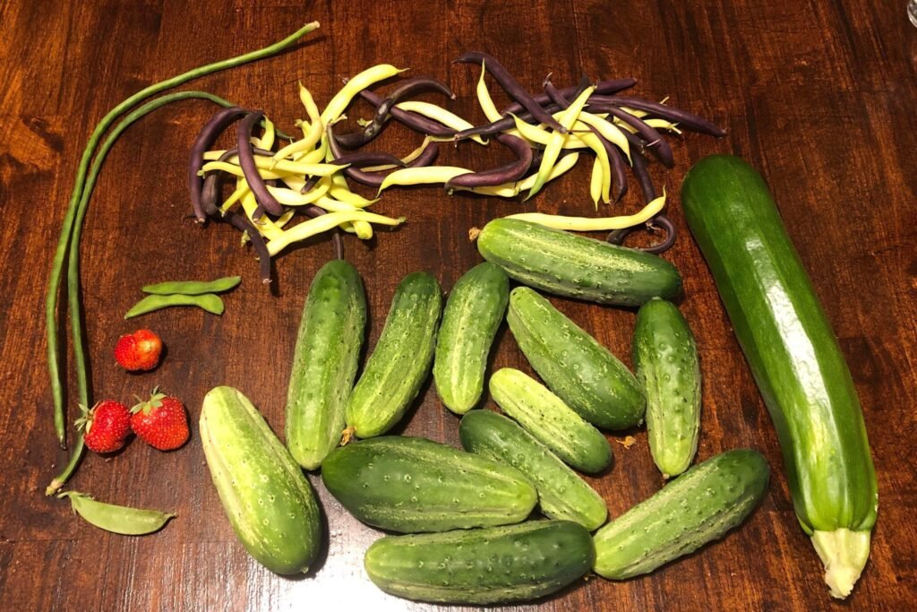 Learn how to garden