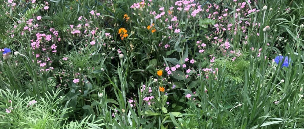 The Best Gardening Tools