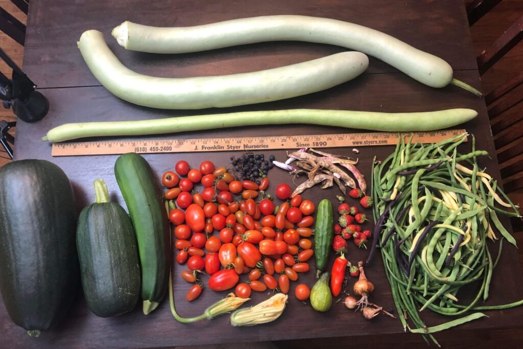 How to start a garden at home