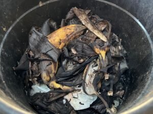 Composting food for beginners