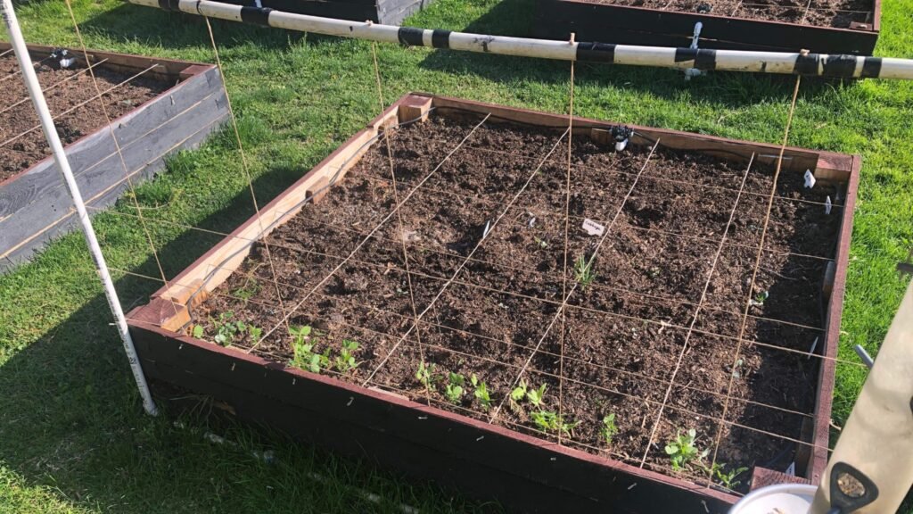 The Best Raised Garden Beds