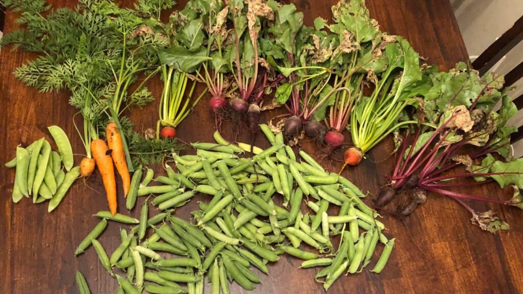 Harvest