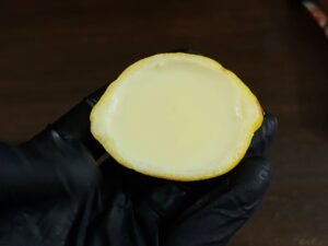 Lemon Posset Recipe