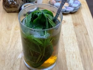 Moroccan Mint Tea Recipe