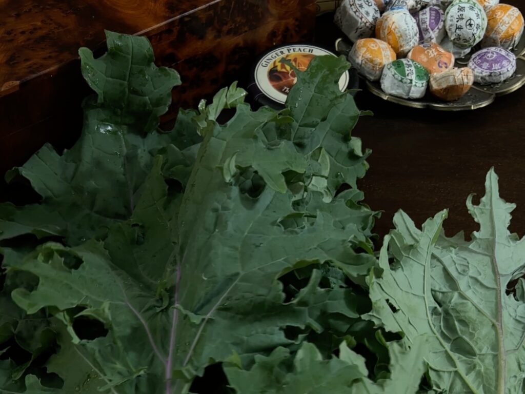 Health Benefits of Kale