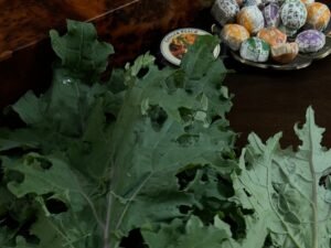 Health Benefits of Kale