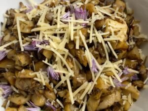 Incredible Health Benefits of Oyster Mushrooms